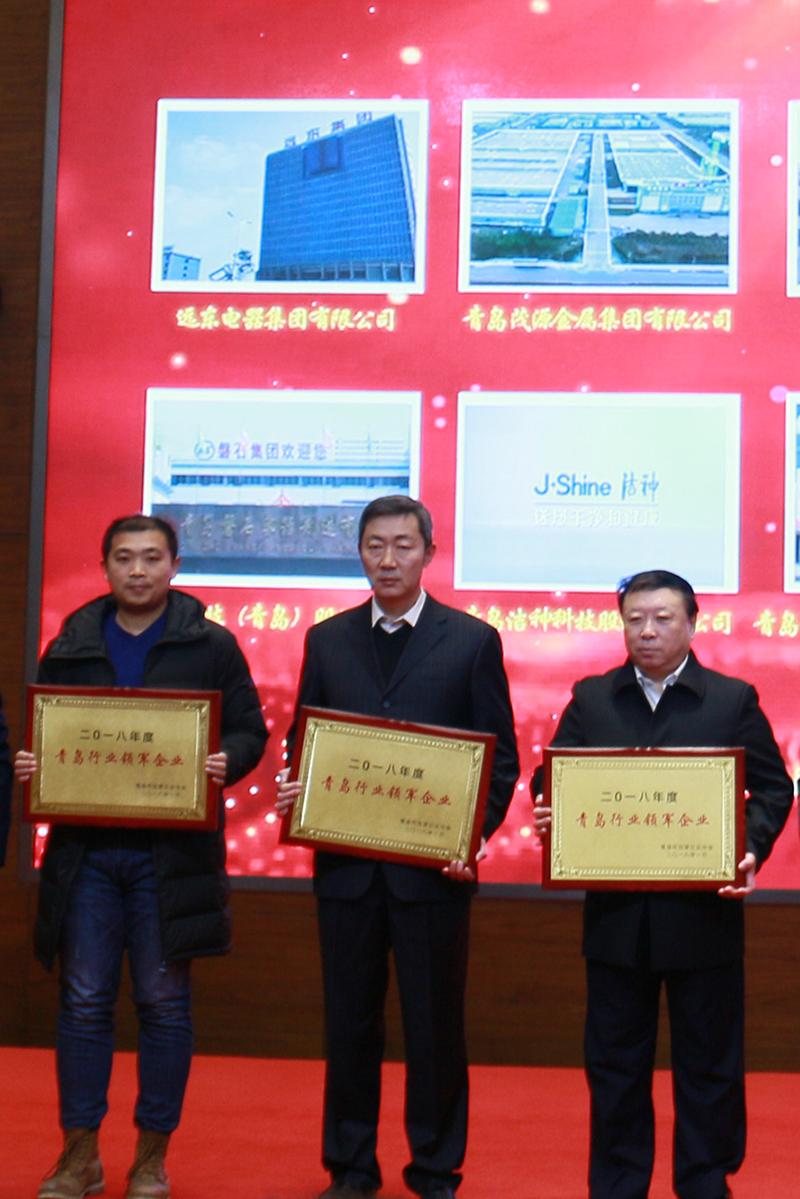 民營企業(yè)高質(zhì)量發(fā)展，德才集團(tuán)再獲殊榮領(lǐng)跑民企(圖6)