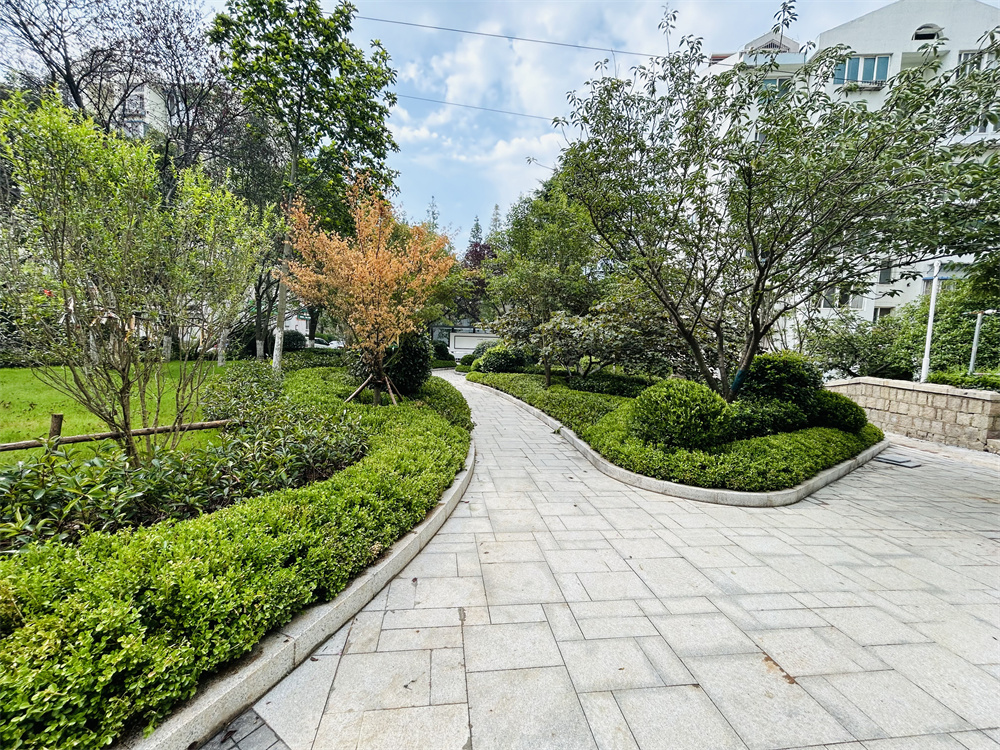 創(chuàng)新模式打造品質(zhì)社區(qū)——青島市永嘉路二片區(qū)老舊小區(qū)改造項(xiàng)目(圖12)